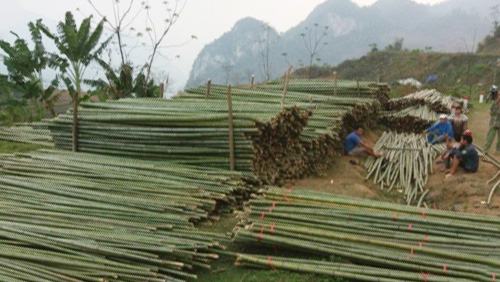 CỌC TRE LỘC PHÁT - CÔNG TY TNHH THƯƠNG MẠI VÀ DỊCH VỤ FORBIGSU VIỆT NAM